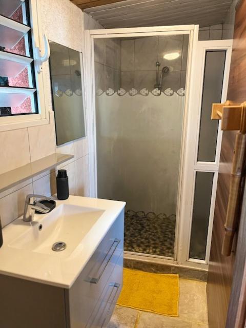 La Bananeraie Apt 35M2 Piscine Jardin Tropical Parking Prive Saint-Leu Exterior photo