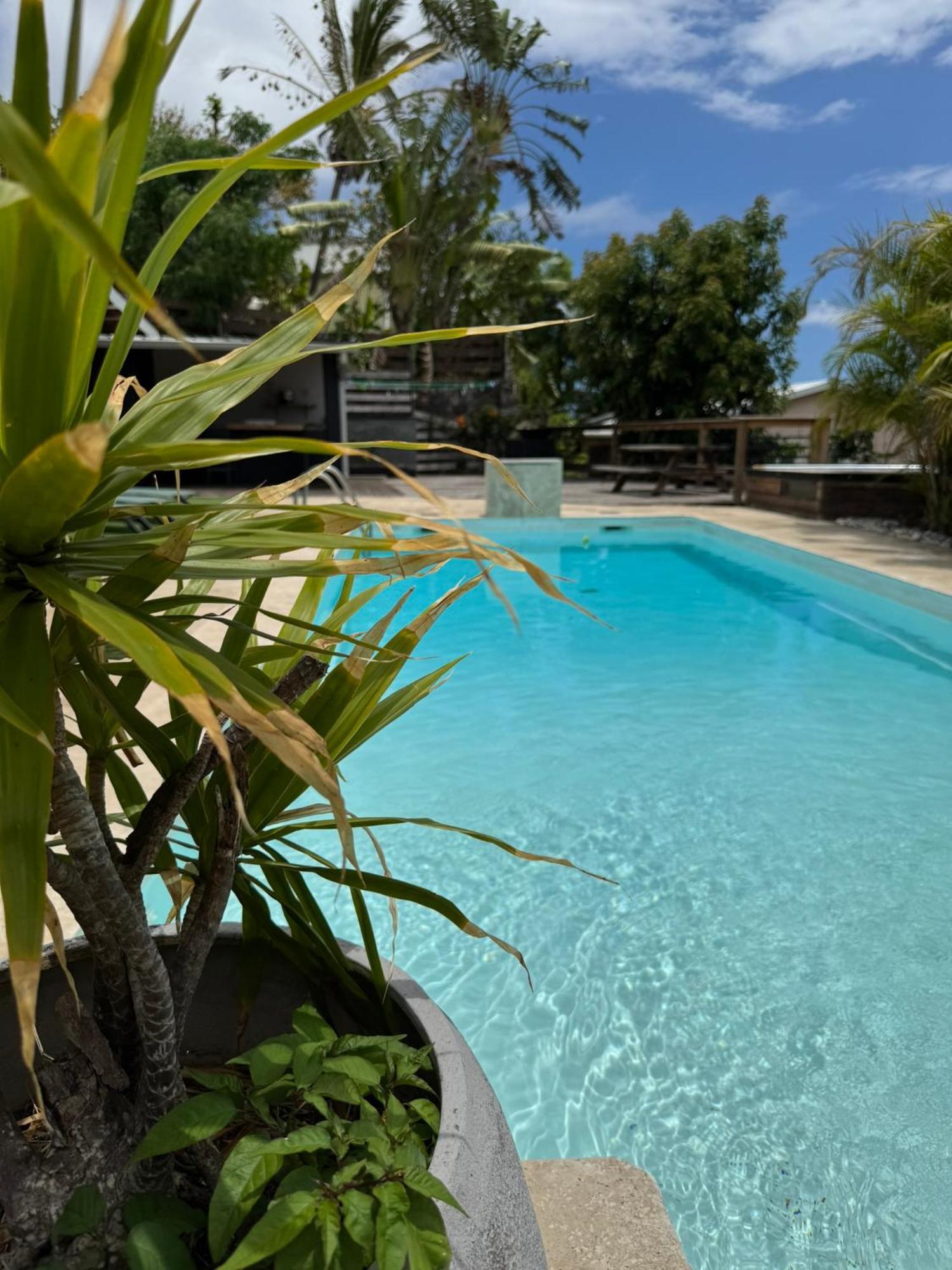 La Bananeraie Apt 35M2 Piscine Jardin Tropical Parking Prive Saint-Leu Exterior photo