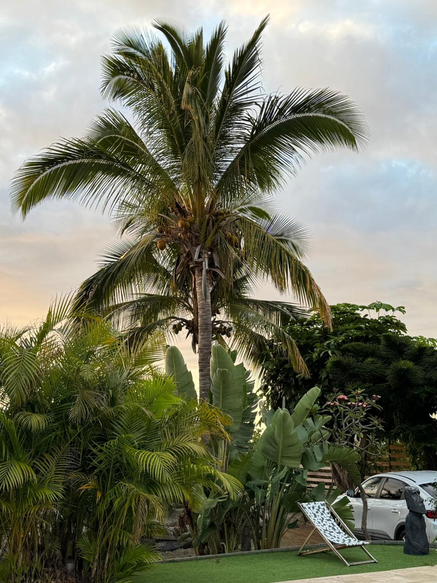 La Bananeraie Apt 35M2 Piscine Jardin Tropical Parking Prive Saint-Leu Exterior photo